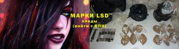прущая мука Арсеньев