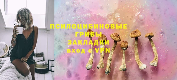 прущая мука Арсеньев